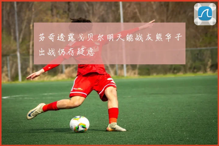 芬奇透露戈贝尔明天能战灰熊华子出战仍存疑虑