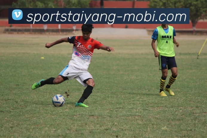 太阳城平台生态图